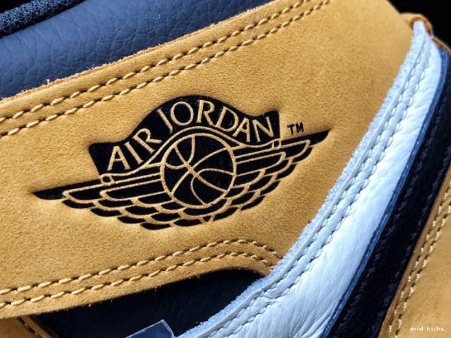 Rep Rookie the Retro High OG of Air Jordan 555088-700 Year 1 0821
